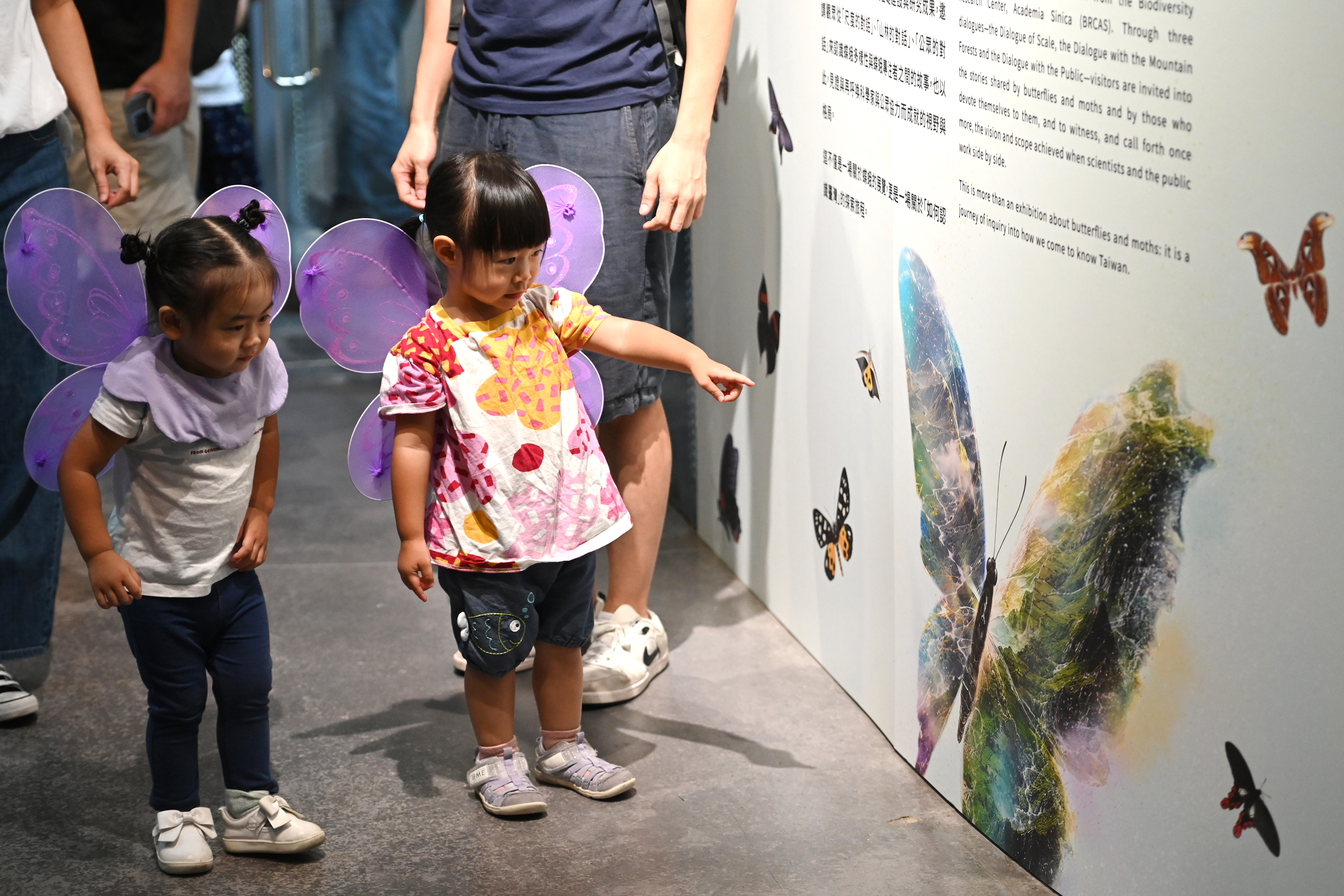 多樣中心_「島嶼飛行 臺灣蝶蛾再發現」特展（圖片來源：中央研究院）